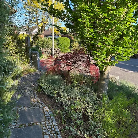 Rio * 그로스보트바