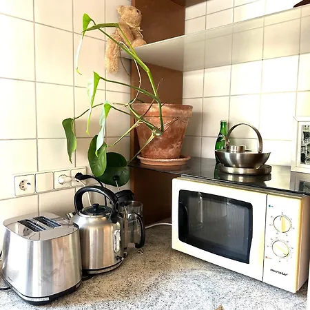 Rio غروبوتفار